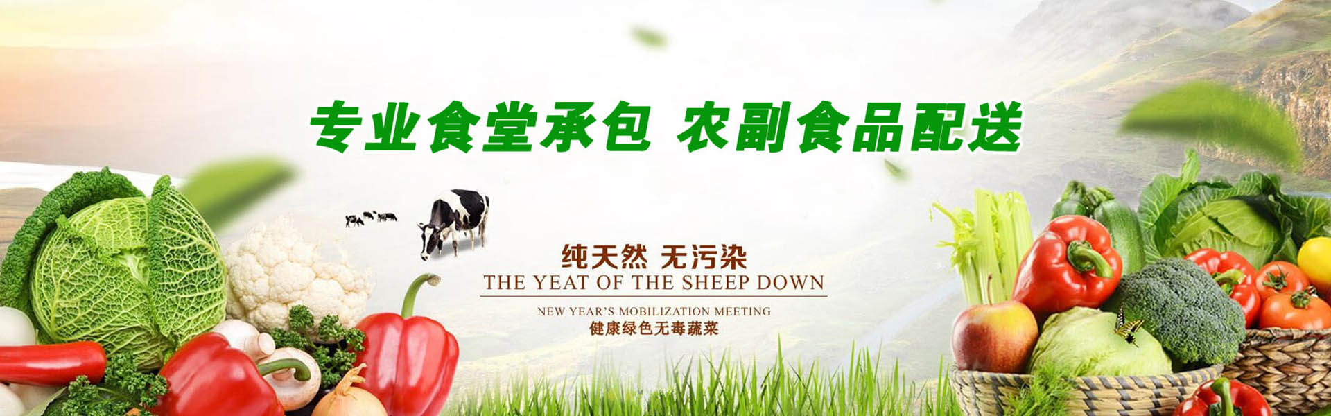 三用紫外分析儀